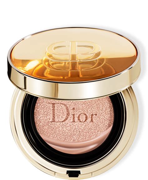 cushion dior 010